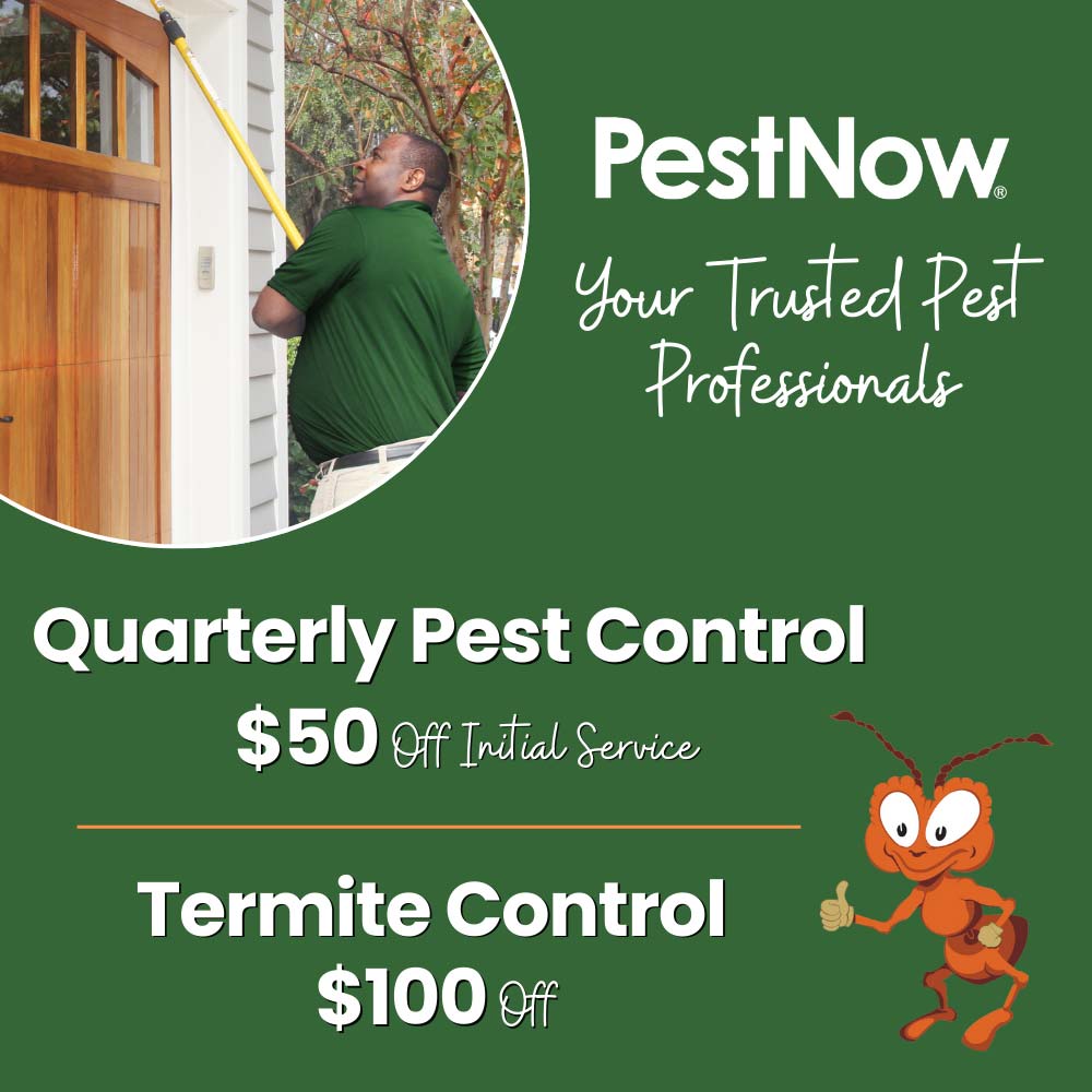 PestNow